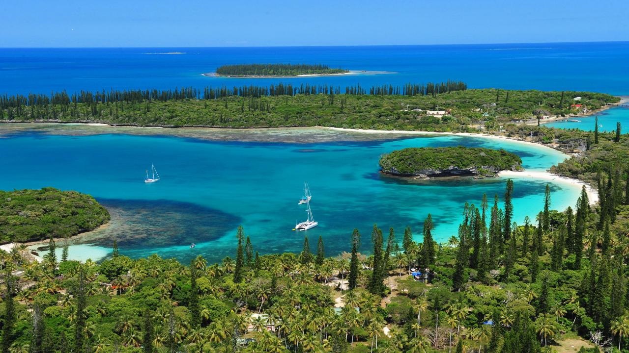 Market research for New Caledonia picture