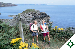 Research into Future Skills Requirements of the Tourism Industry in South West Wales picture