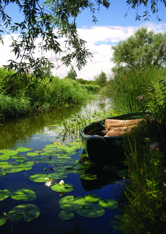 Sustainable Tourism in Estuary Parks (STEP) picture