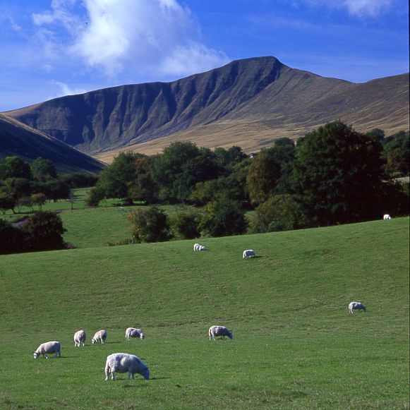 Sustainable tourism strategy for the Brecon Beacons picture